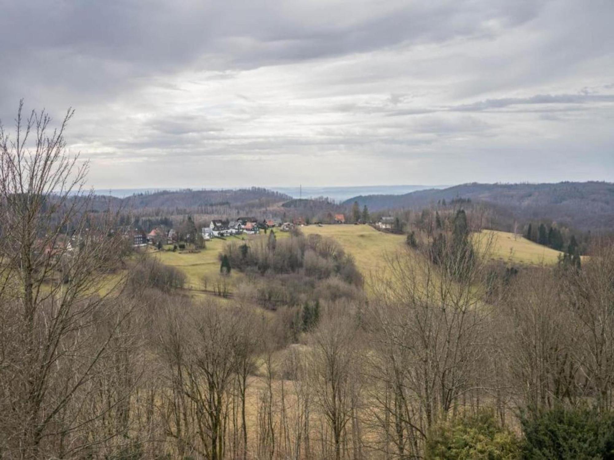 Cozy Apartment In Braunlage Near Forest Hohegeiß Esterno foto
