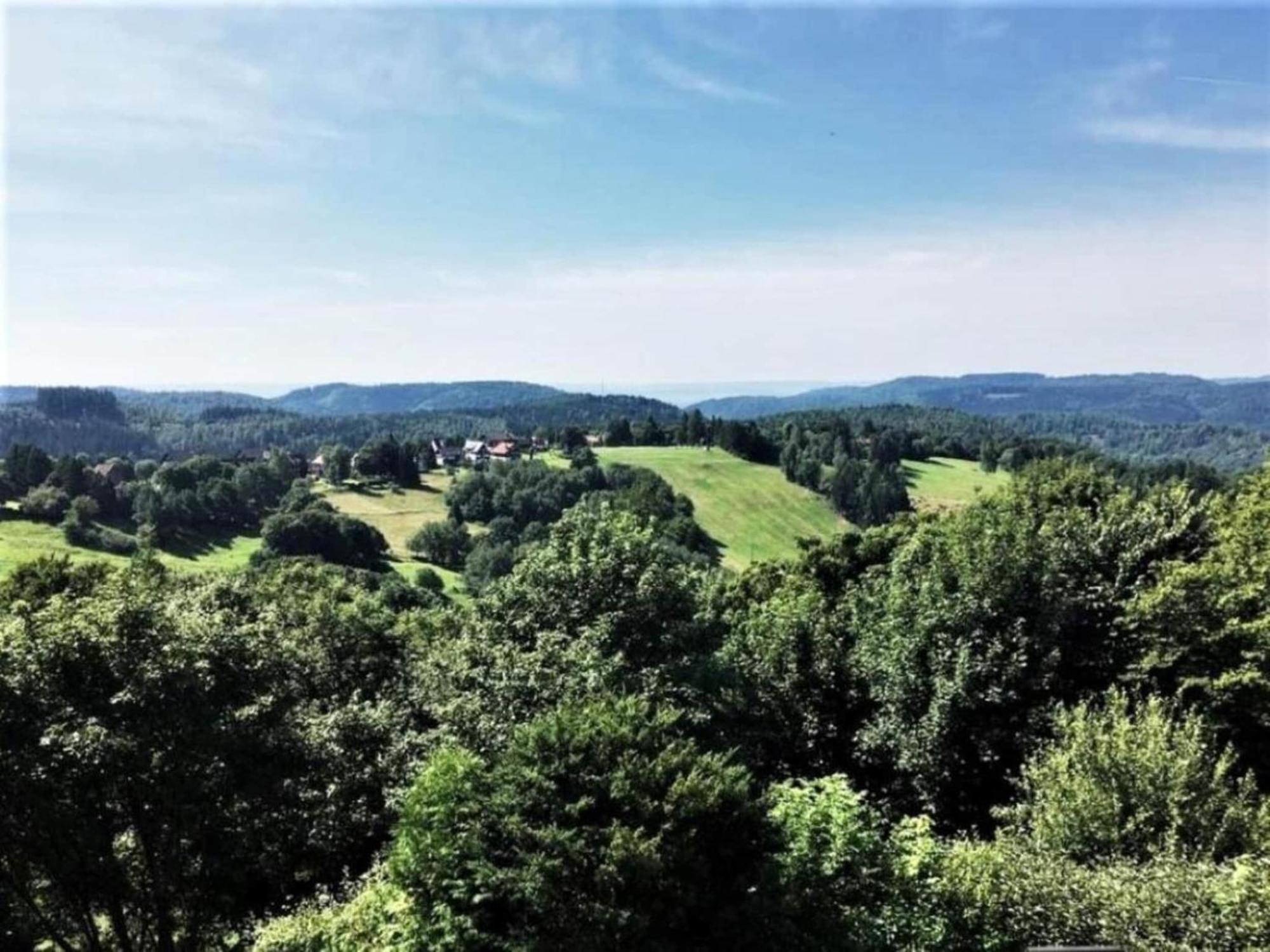 Cozy Apartment In Braunlage Near Forest Hohegeiß Esterno foto