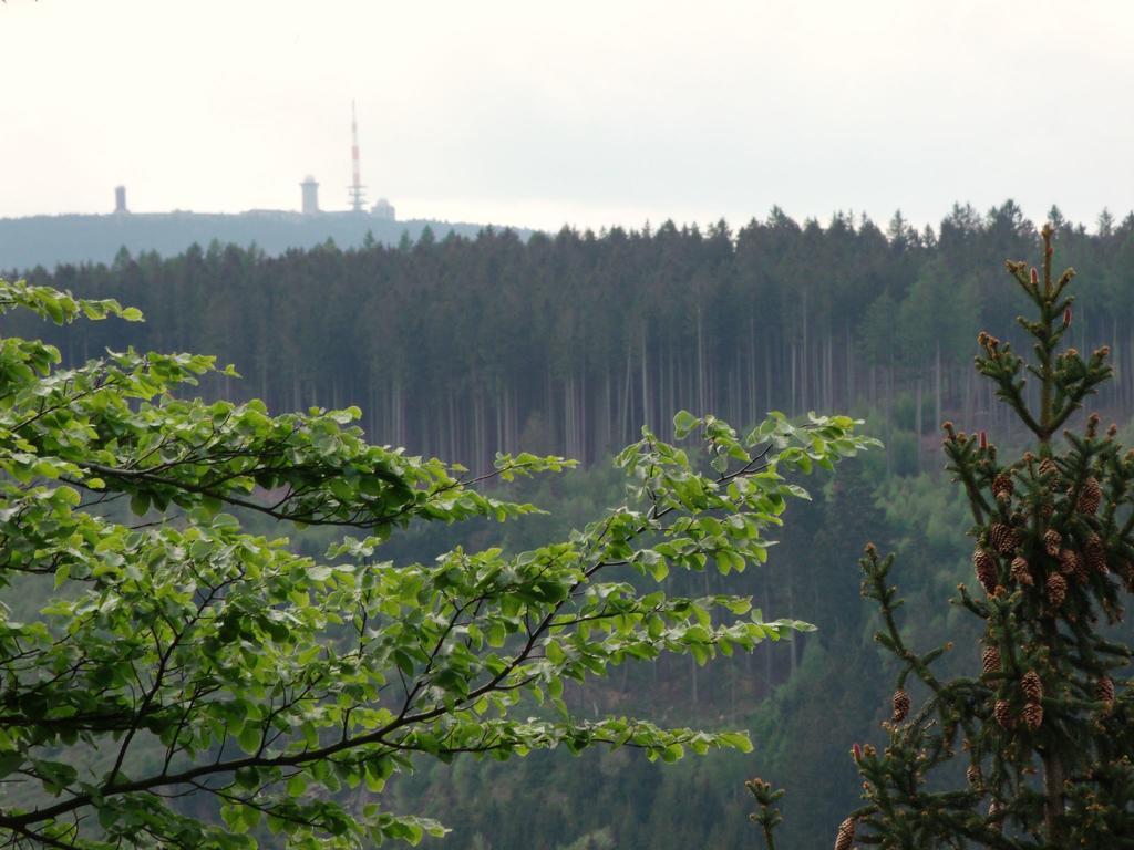 Cozy Apartment In Braunlage Near Forest Hohegeiß Esterno foto